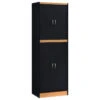 4-Door Kitchen Pantry With 4-Shelves, 5-Compartments, Black-Beech -Kitchen Storage Store 698158020112b698 3700 w800 h800 b1 p0